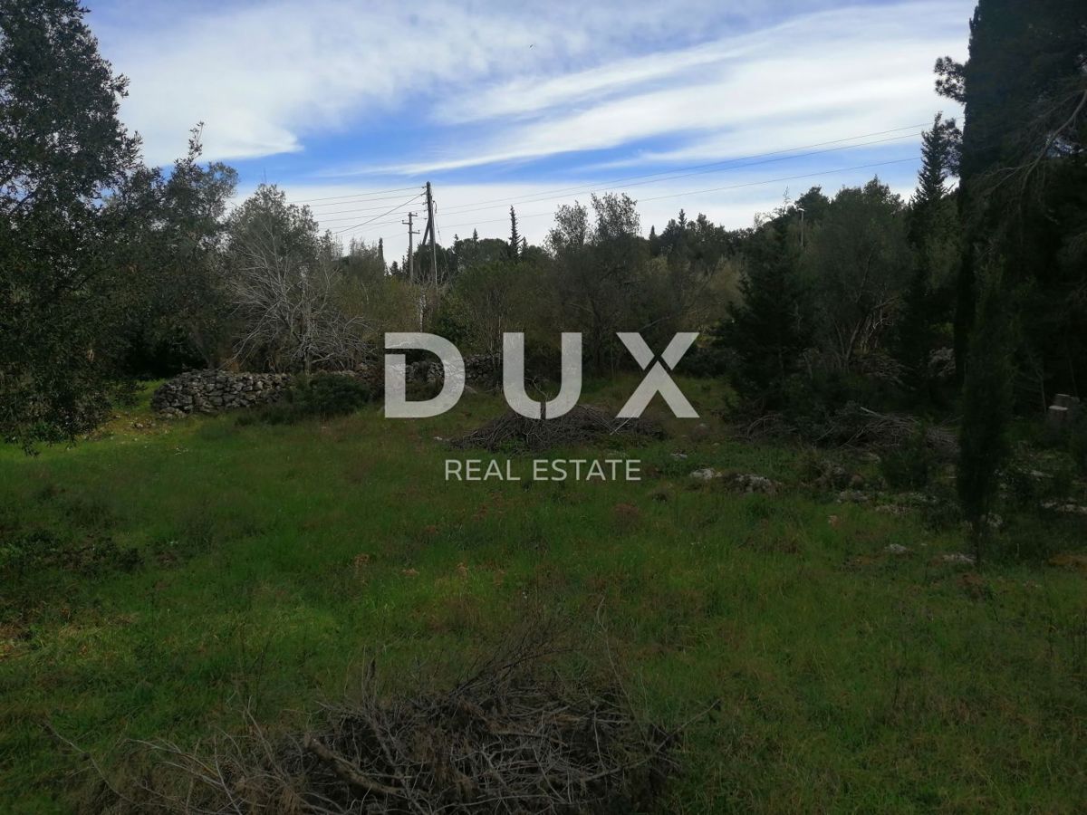 Land For sale - ZADARSKA PAŠMAN