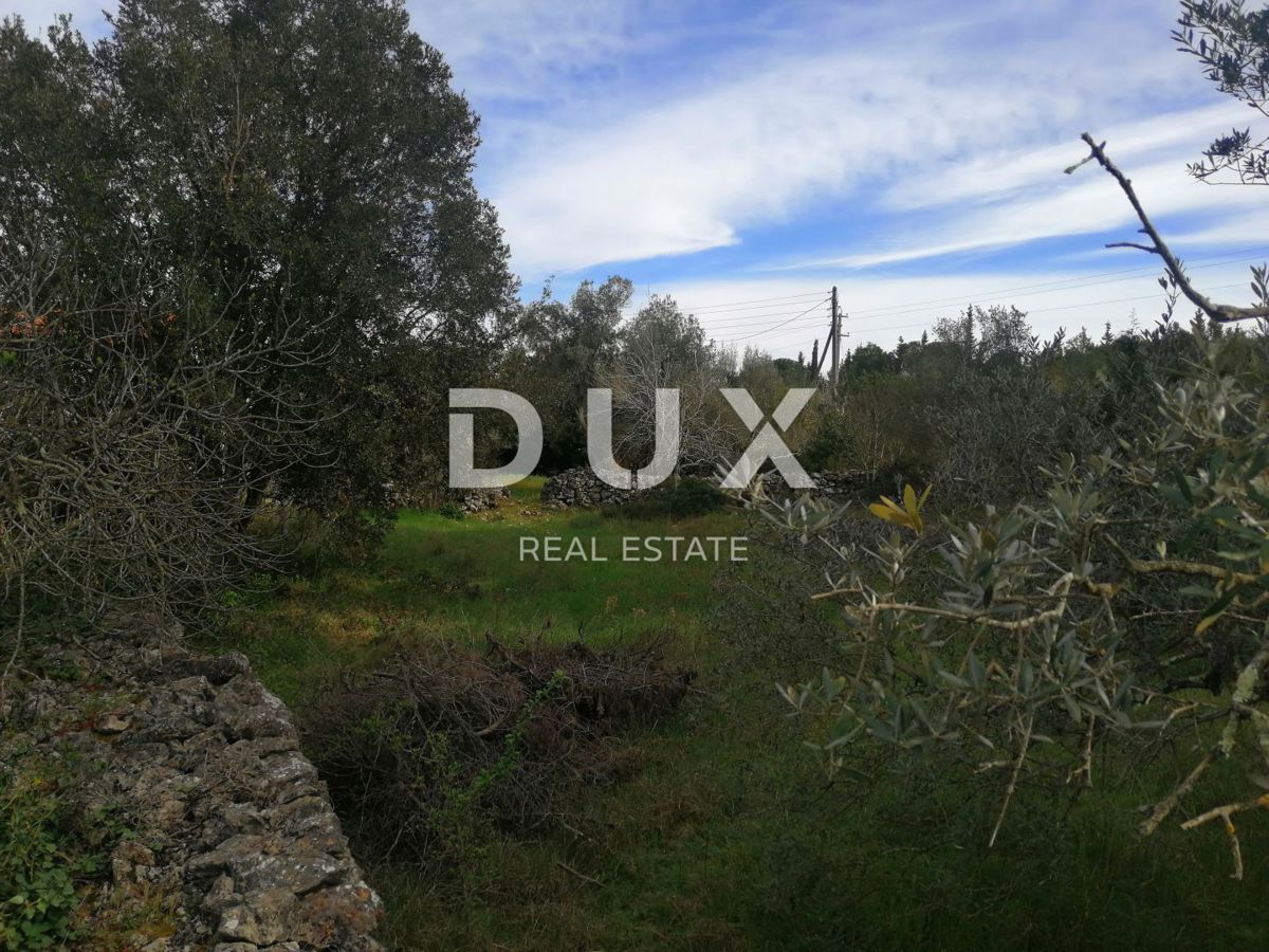Land For sale - ZADARSKA PAŠMAN