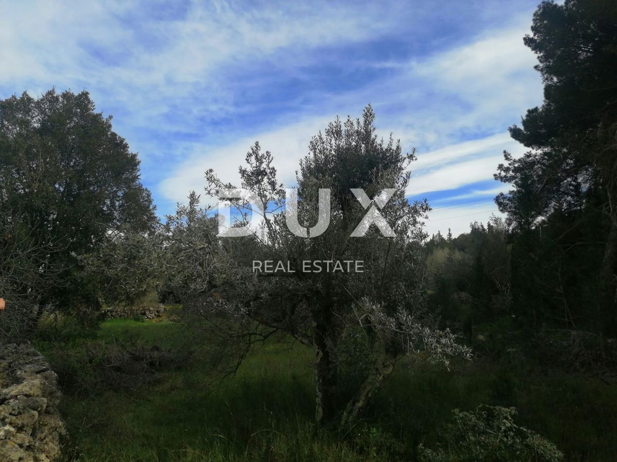 Land For sale - ZADARSKA PAŠMAN