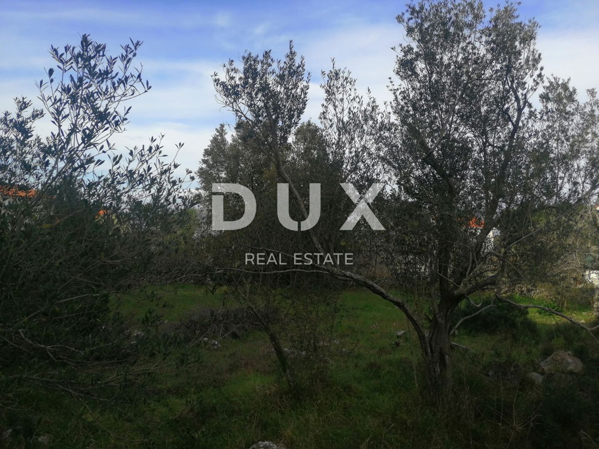 Land For sale - ZADARSKA PAŠMAN