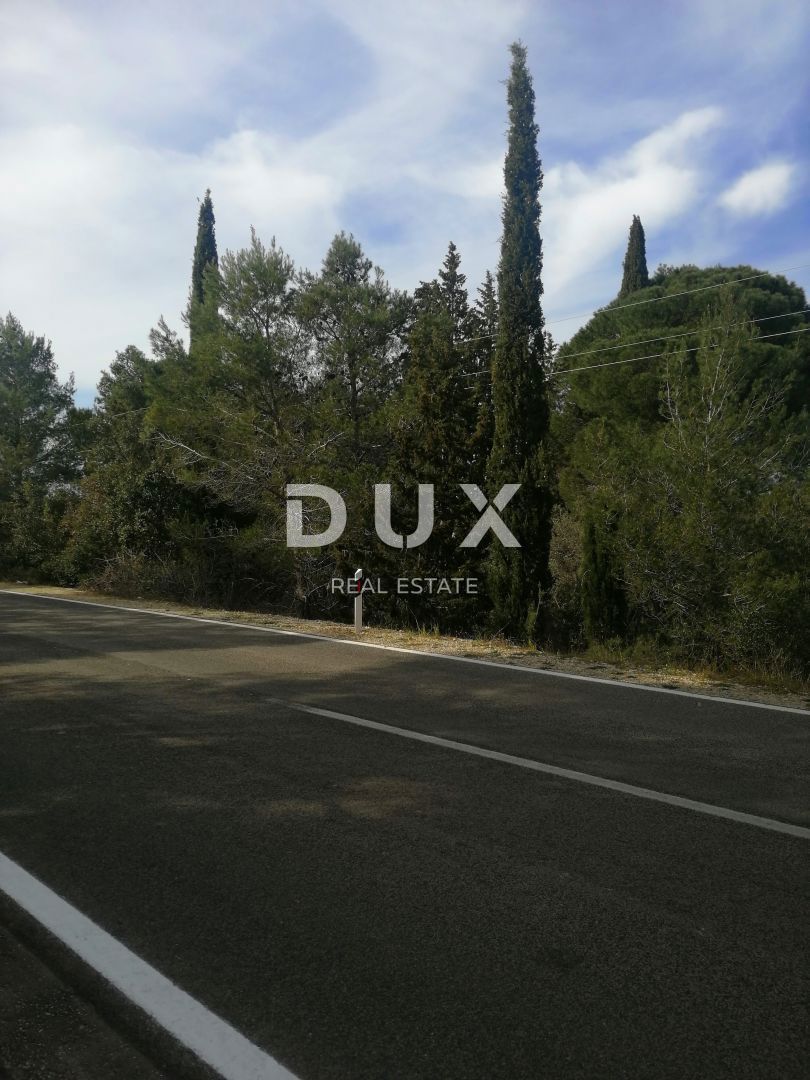 Land For sale - ZADARSKA PAŠMAN