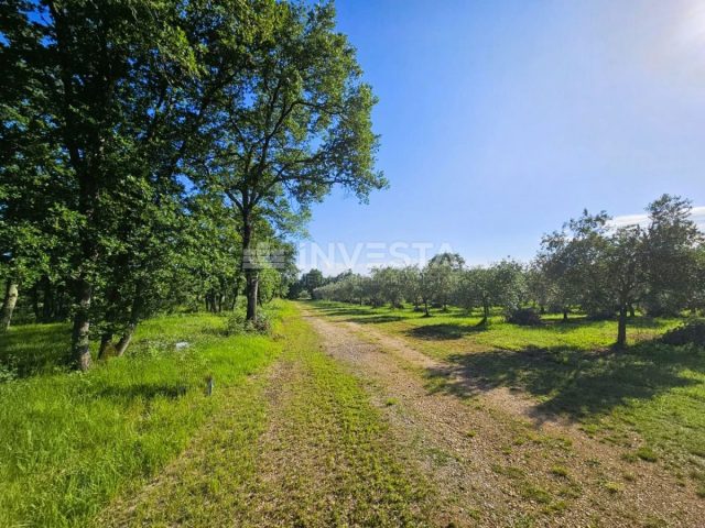 Działka na sprzedaż 80400 m² – Pula