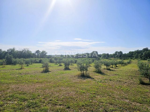 Land for sale 73600 m² – Pula