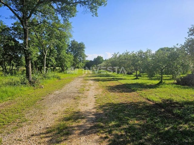 Land For sale - Istarska Pula - foto 5/8