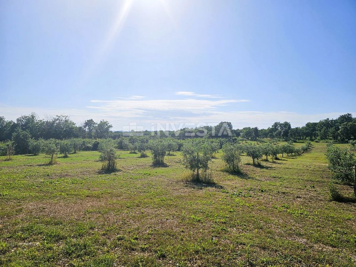 Terreno In vendita
