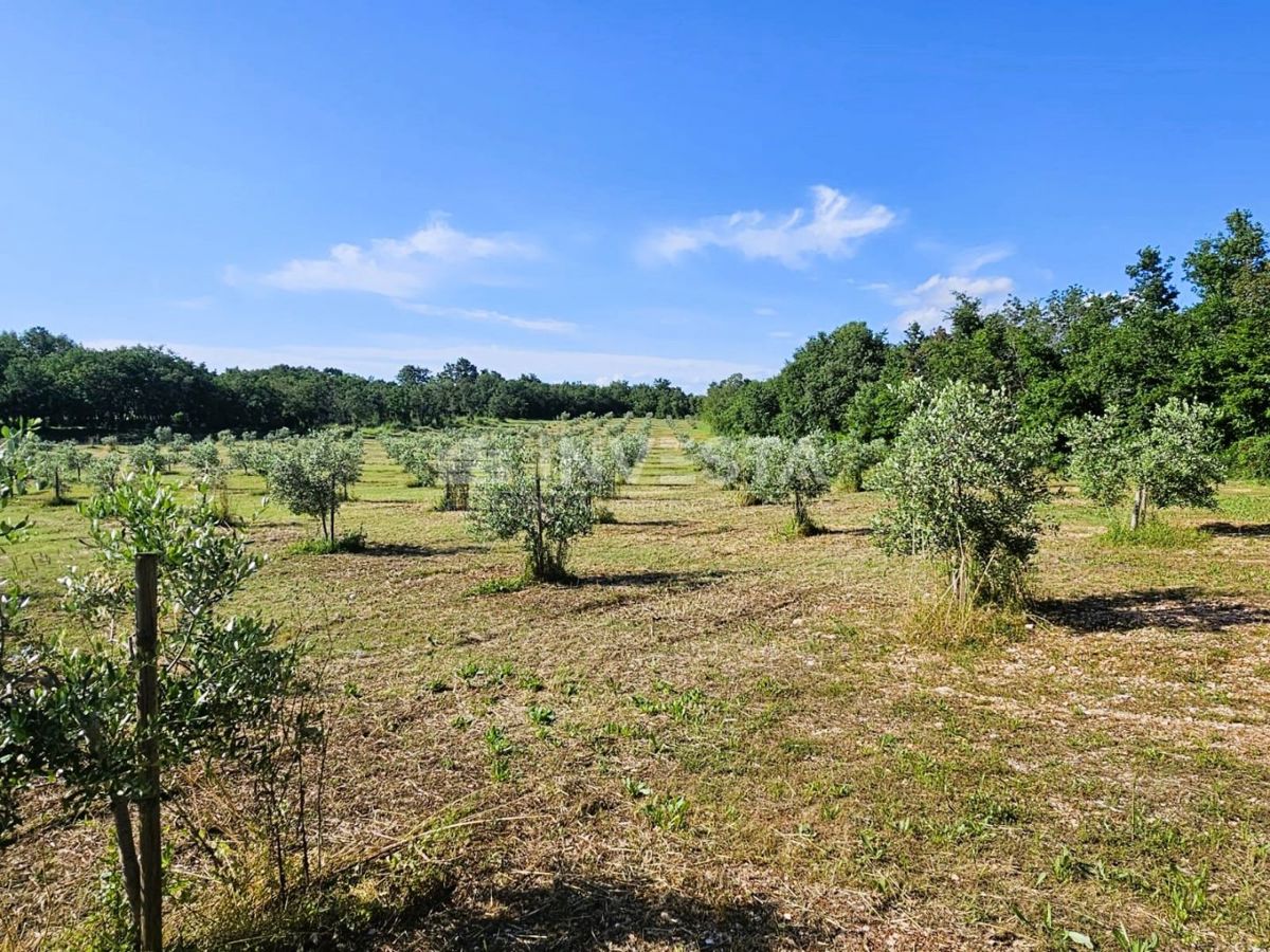 Terreno In vendita - ISTARSKA PULA