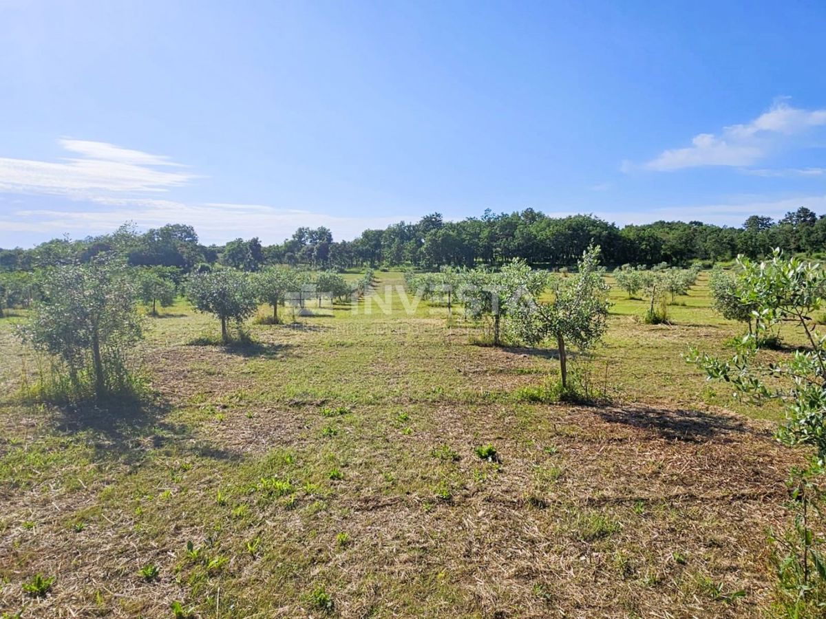 Terreno In vendita - ISTARSKA PULA