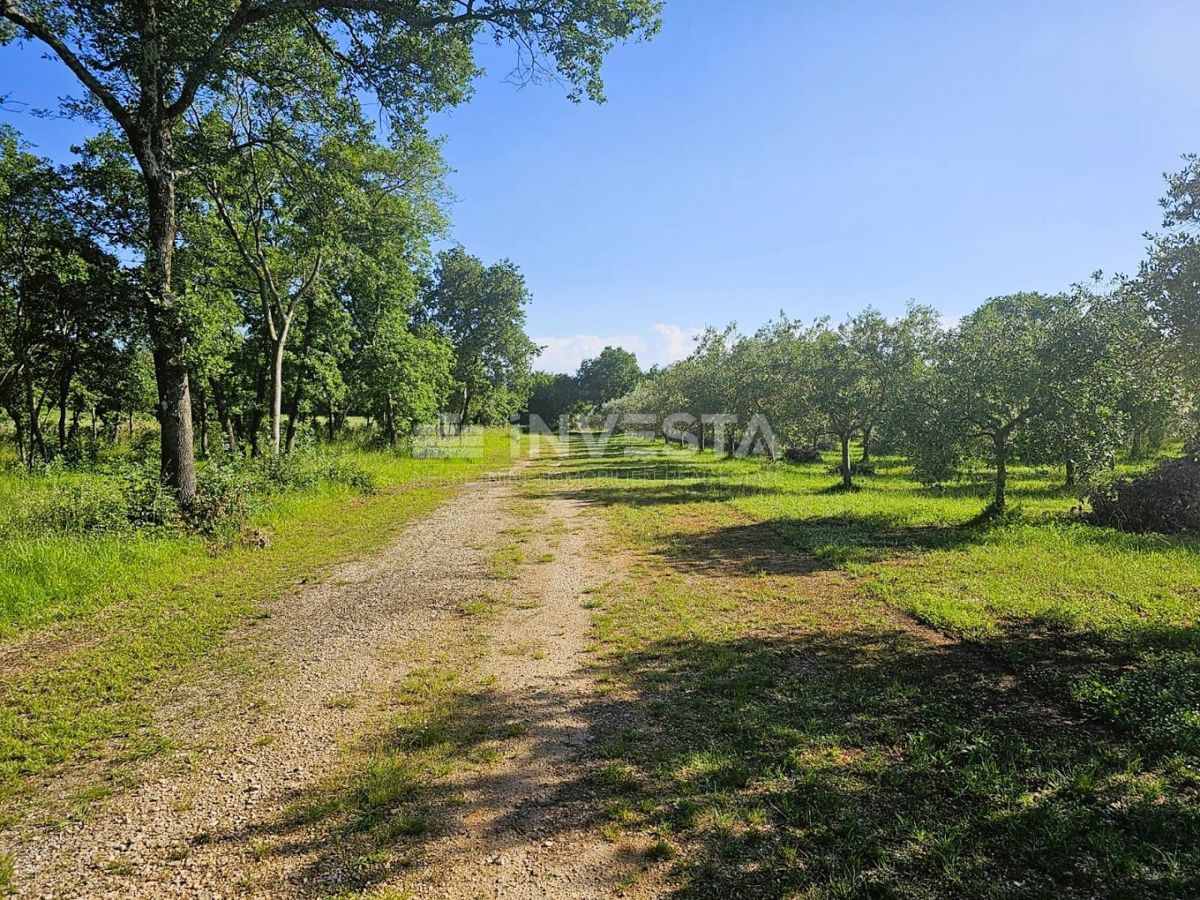 Terreno In vendita - ISTARSKA PULA