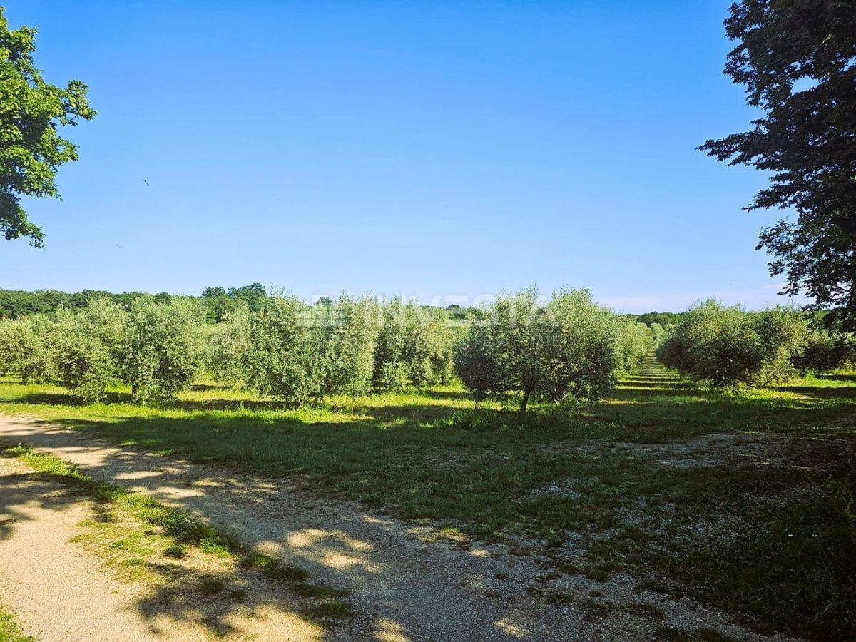 Terreno In vendita - ISTARSKA PULA