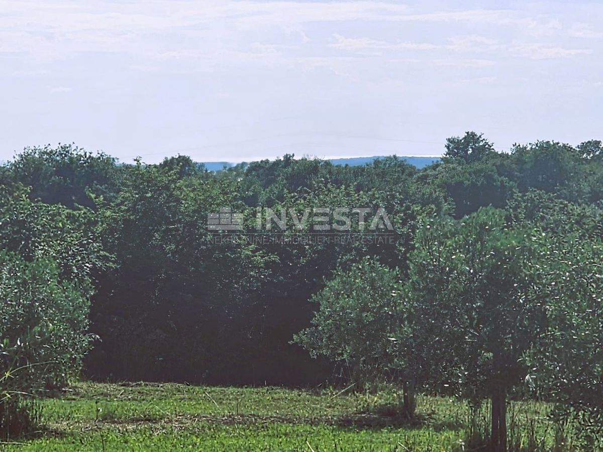 Terreno In vendita - ISTARSKA PULA