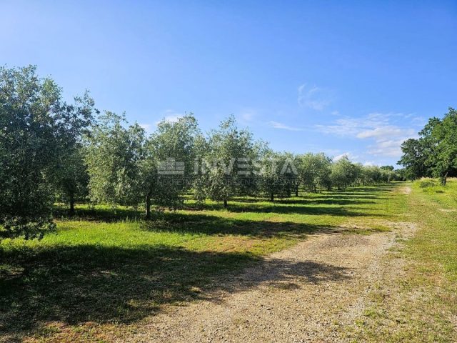 Land for sale 35400 m² – Pula