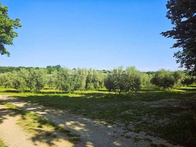 Land For sale - Istarska Pula - foto 4/5