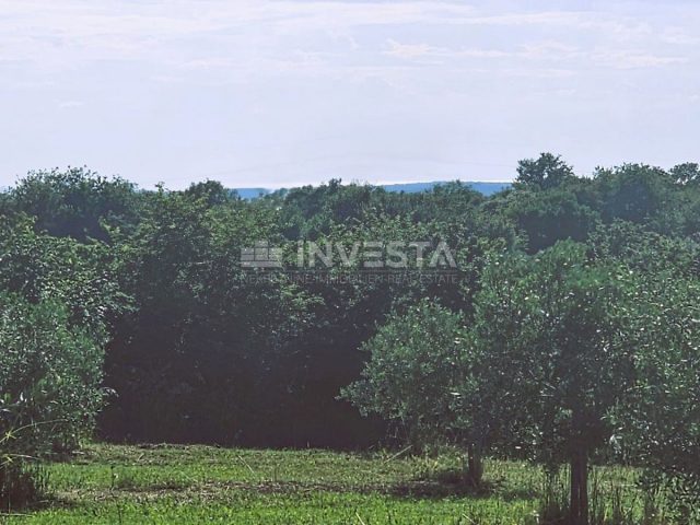 Land For sale - Istarska Pula - foto 5/5