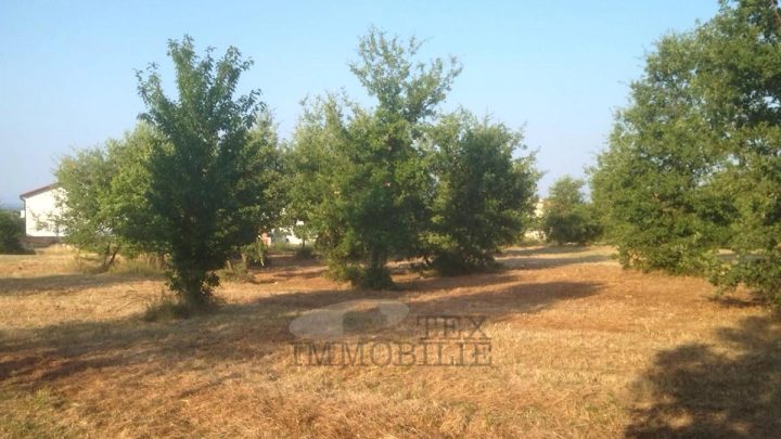Zemljište na prodaju 1276 m² – Tar