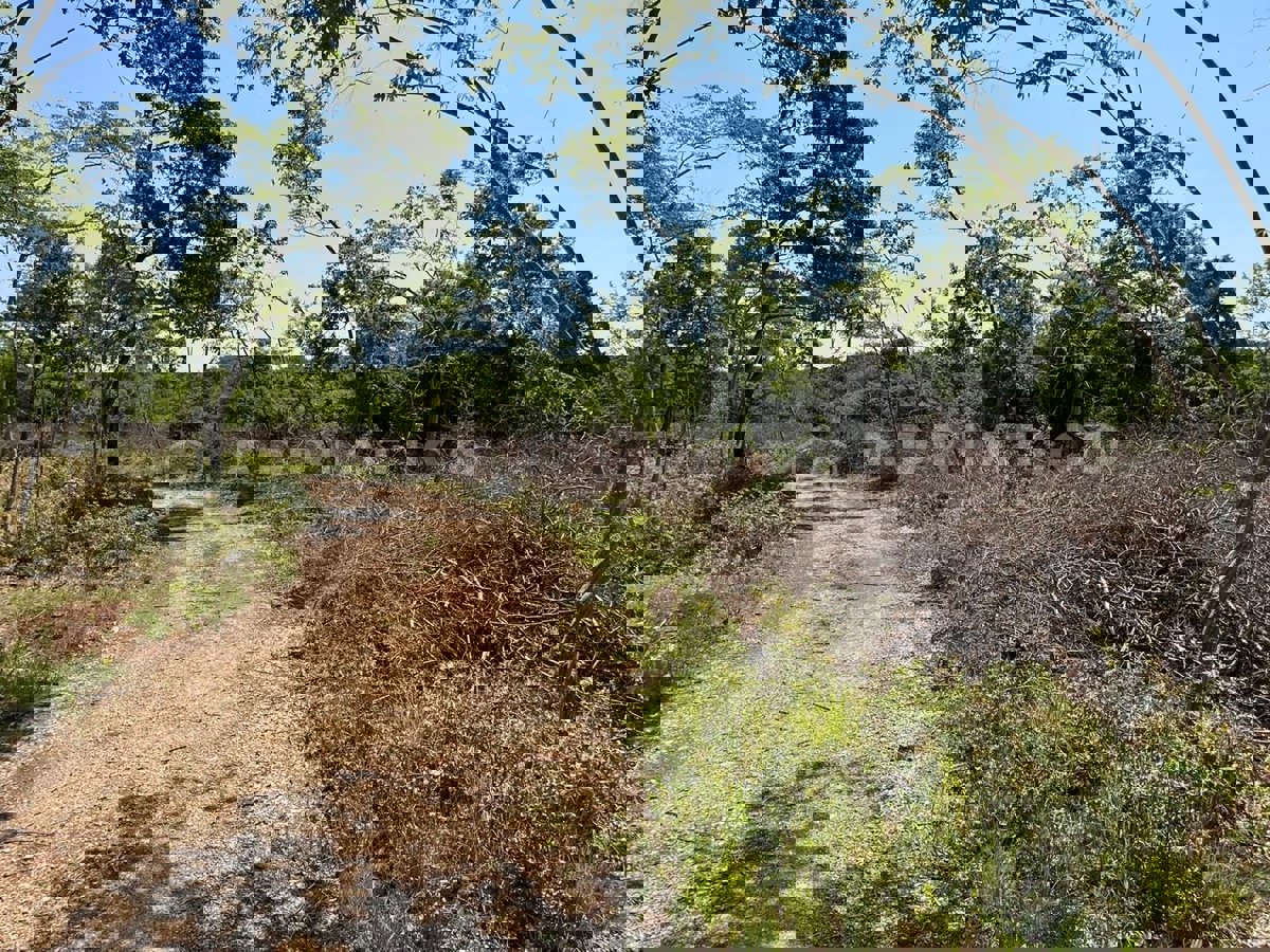 Terreno In vendita - ISTARSKA BALE