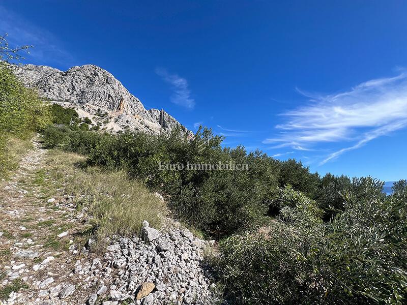 Zemljište Na prodaju - SPLITSKO-DALMATINSKA PODGORA