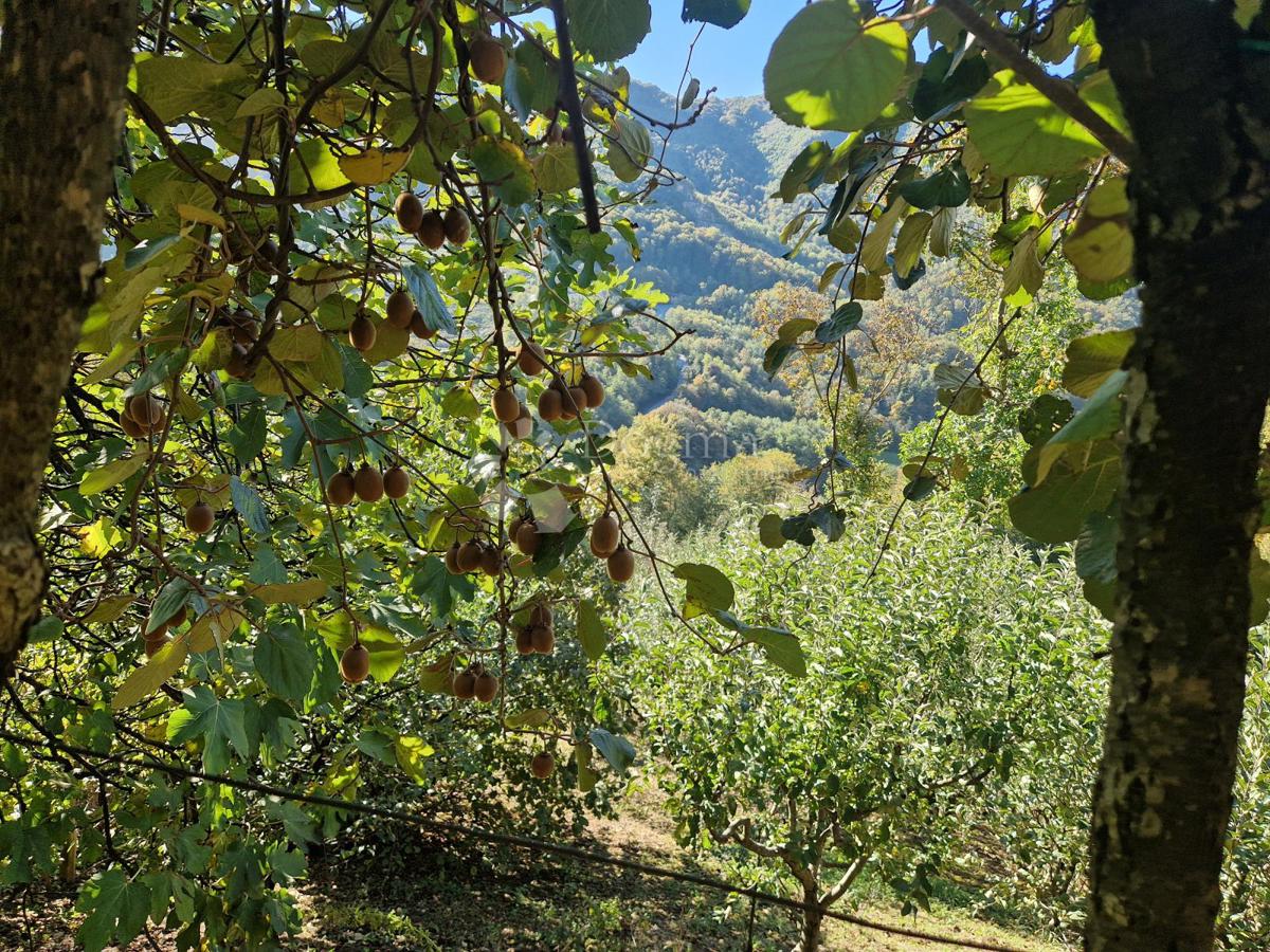 Kuća Na prodaju - KRAPINSKO-ZAGORSKA JESENJE