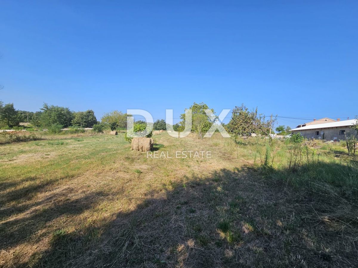 Terreno In vendita - Istarska žminj - foto 1/13