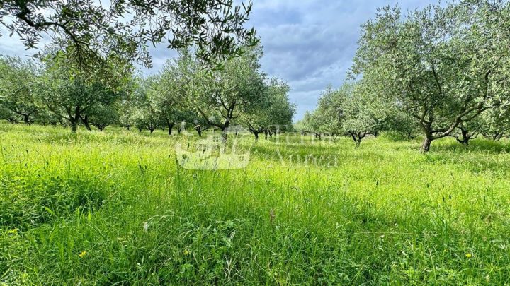 Grundstück zu verkaufen 1054 m² – Krk