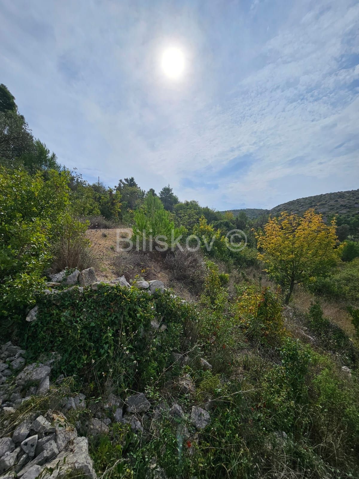 Dom Na predaj - SPLITSKO-DALMATINSKA BRAČ