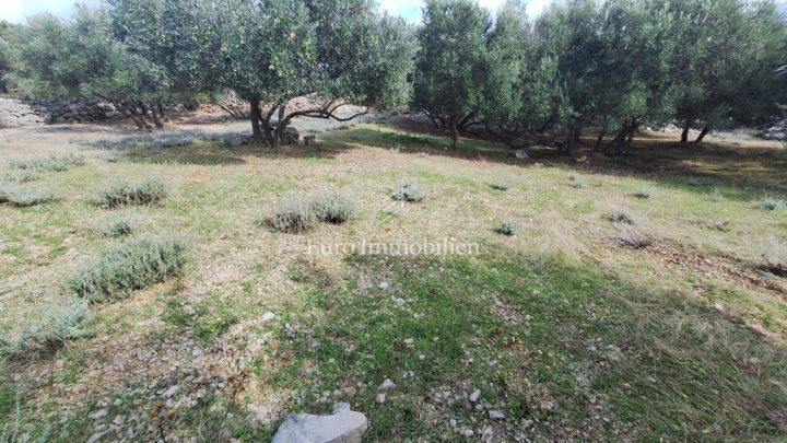 Land For sale - Primorsko-goranska Krk - foto 2/3