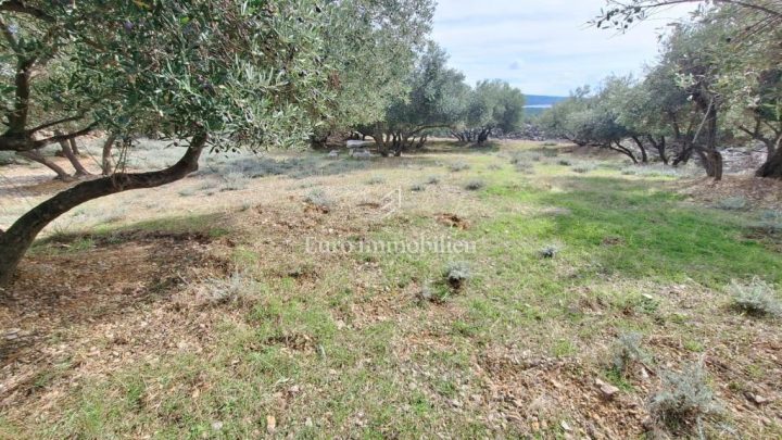Land For sale - Primorsko-goranska Krk - foto 3/3