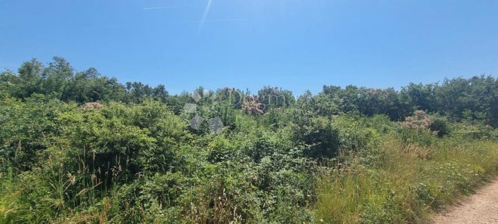 Zemljište na prodaju 3047 m² – Tar