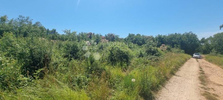 Zemljište na prodaju 3050 m² – Tar