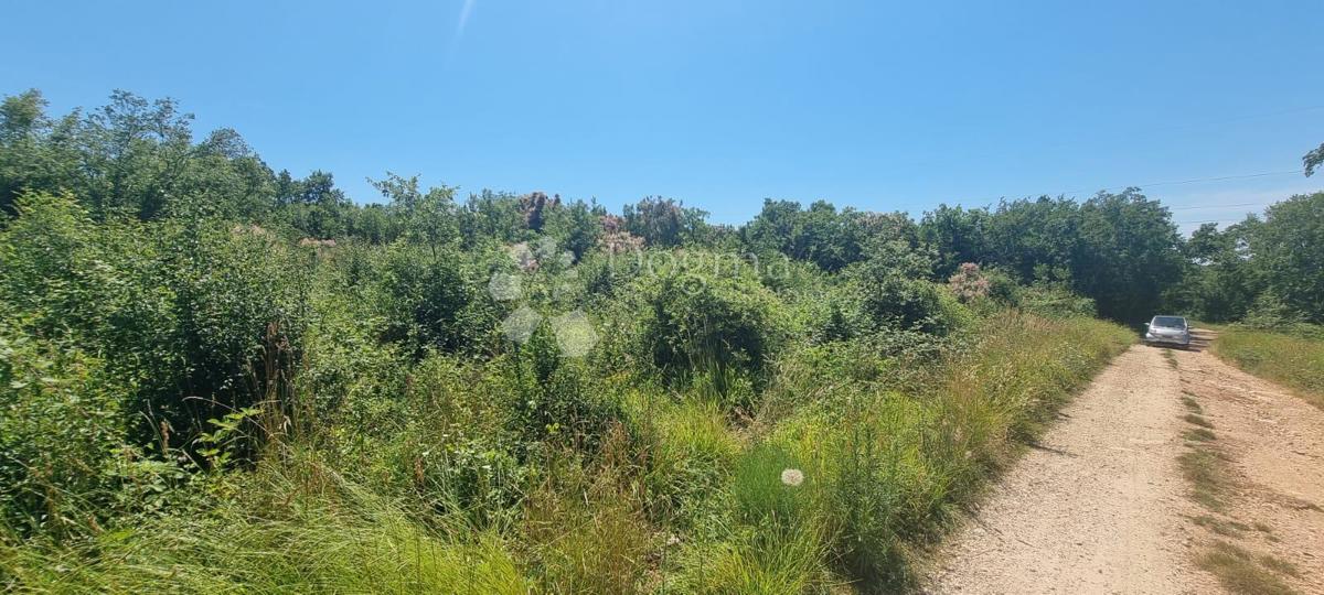 Terreno In vendita - Istarska Tar-vabriga - foto 1/4