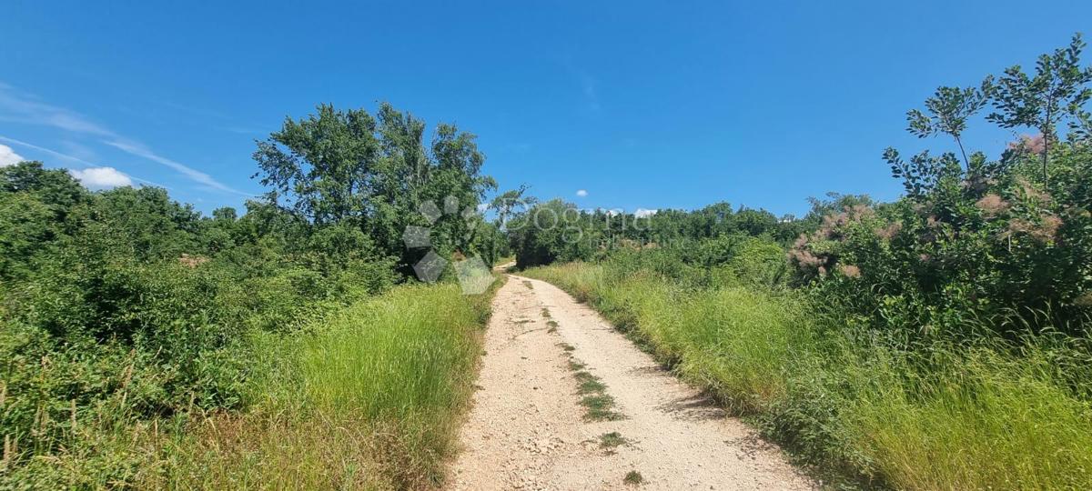 Terreno In vendita - Istarska Tar-vabriga - foto 2/4