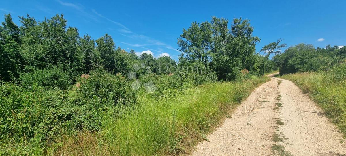 Terreno In vendita - Istarska Tar-vabriga - foto 3/4