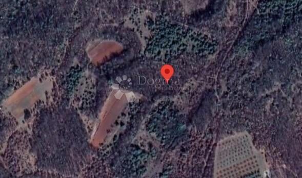 Zemljište na prodaju 11592 m² – Vodnjan