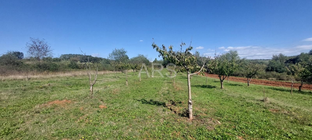 Pozemok Na predaj - ISTARSKA VIŠNJAN