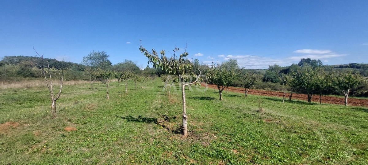 Pozemok Na predaj - ISTARSKA VIŠNJAN