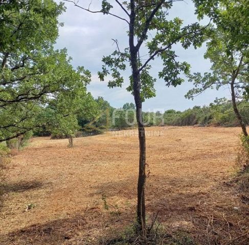Działka na sprzedaż 5928 m² – Rovinjsko Selo