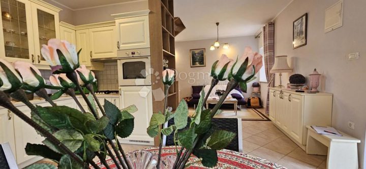 Haus Zu verkaufen - Istarska žminj - foto 5/55