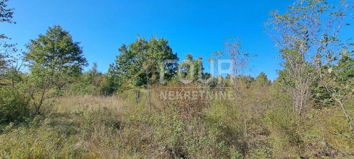Działka na sprzedaż 27086 m² – Poreč