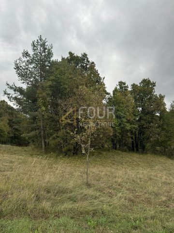 Terreno in vendita 5021 m² – Rupa