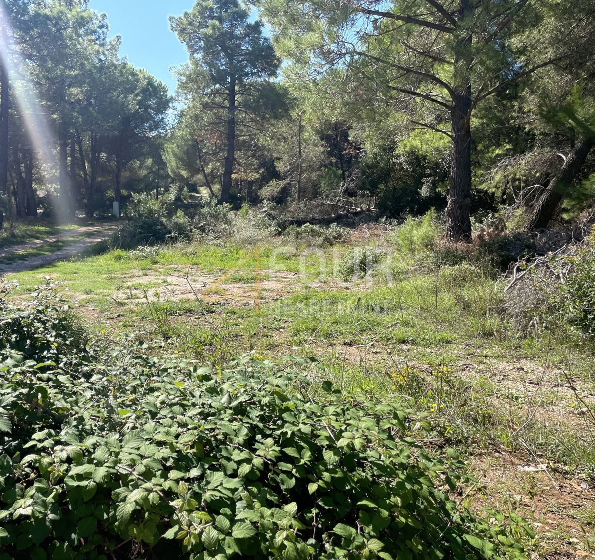 Terreno In vendita