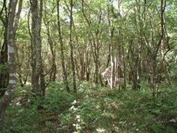 Land for sale 1800 m² – Risika