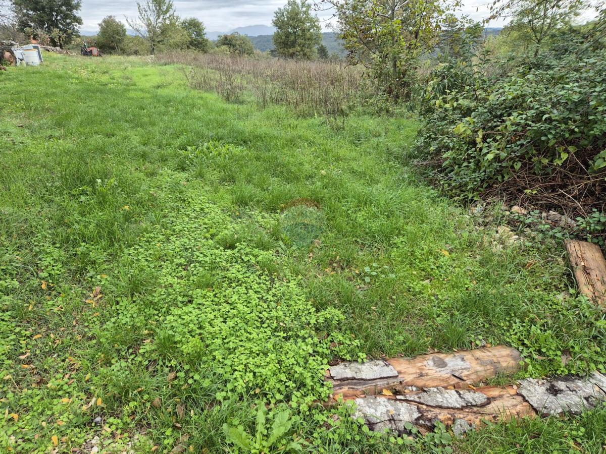 Terreno In vendita - Istarska Tinjan - foto 1/3