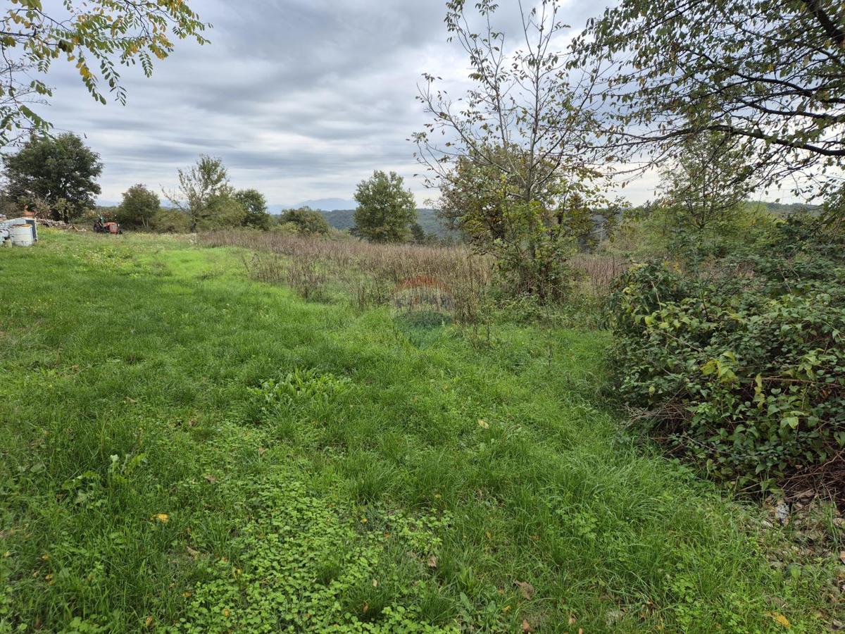 Terreno In vendita - Istarska Tinjan - foto 2/3