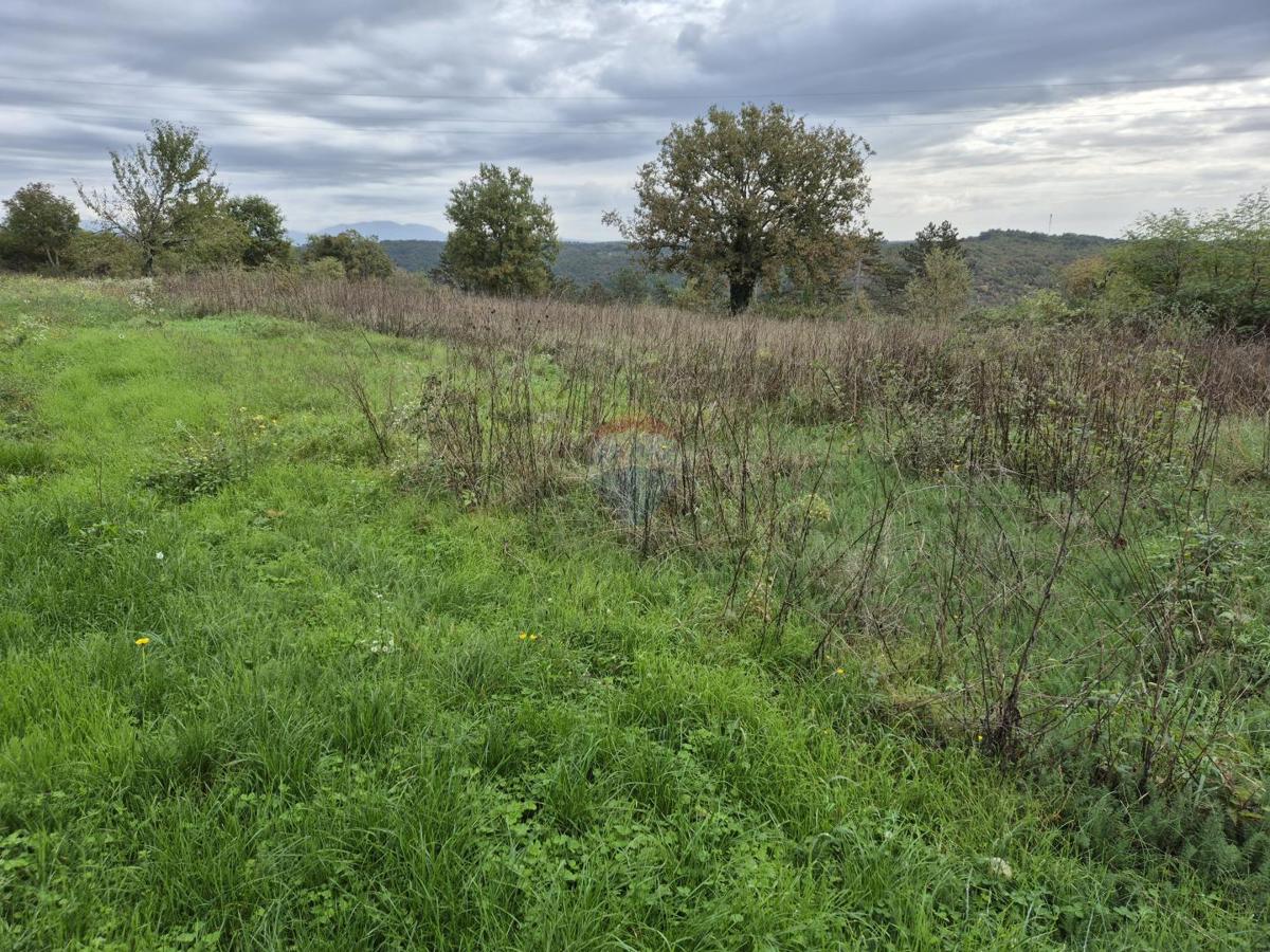 Terreno In vendita - Istarska Tinjan - foto 3/3