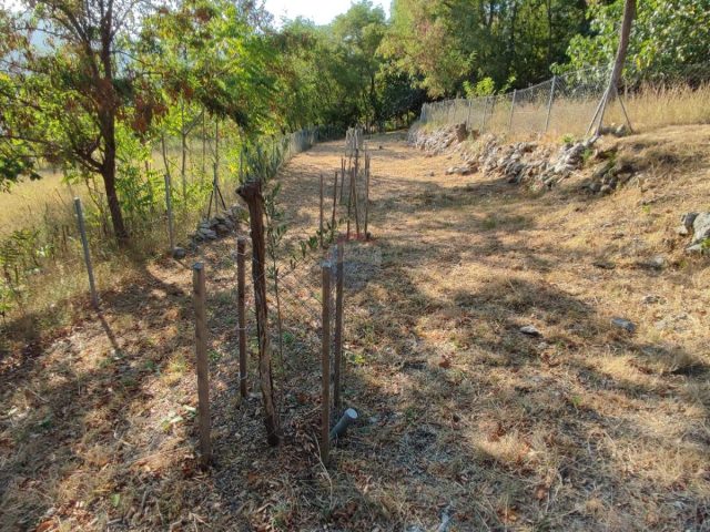 Land For sale - Primorsko-goranska Krk - foto 2/7