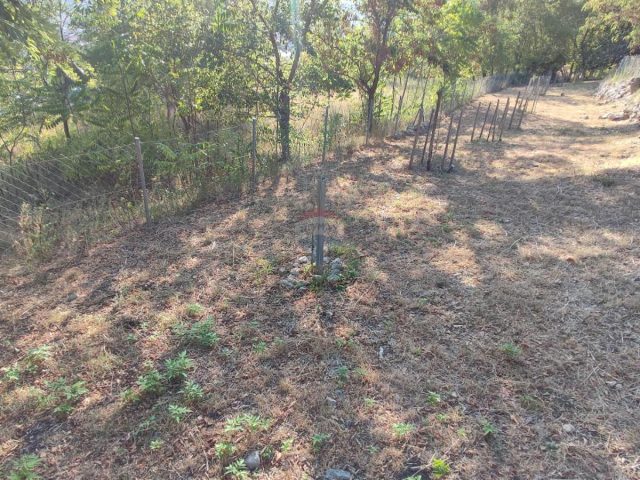 Land For sale - Primorsko-goranska Krk - foto 4/7