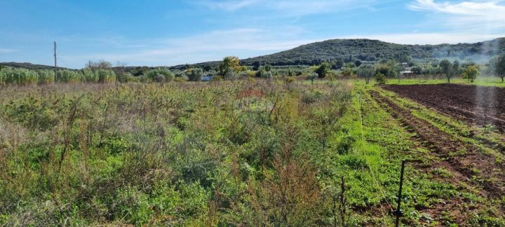 Terrain à vendre 5000 m² – Rovinj