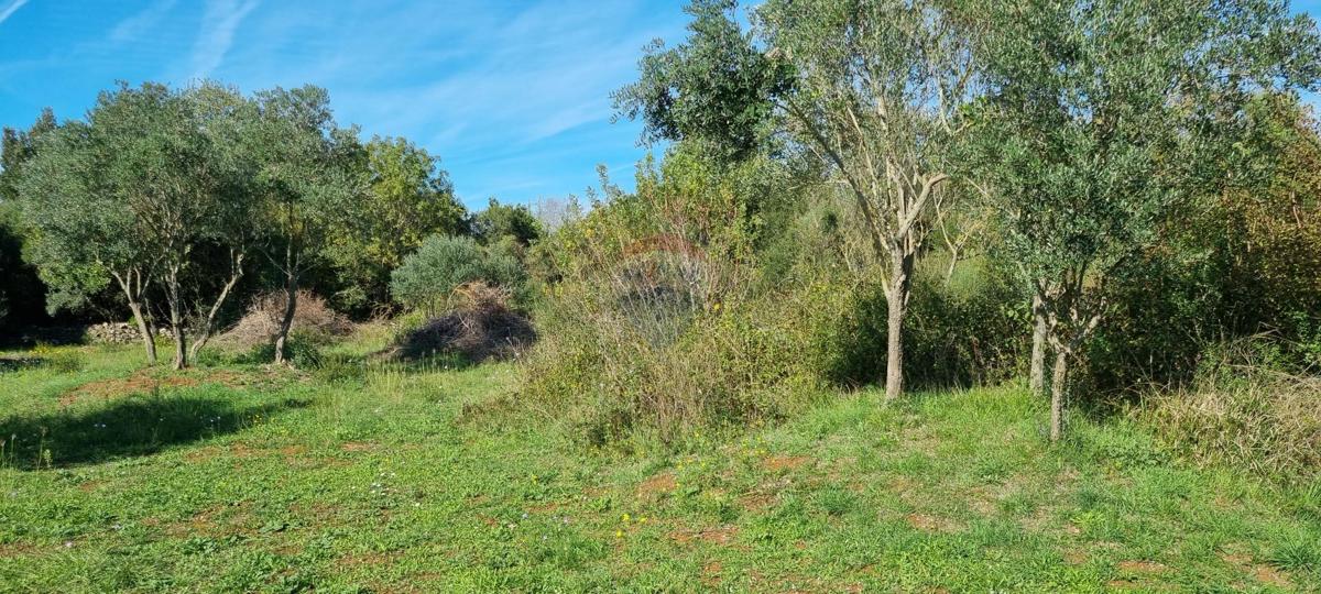 Terreno In vendita - ISTARSKA ROVINJ