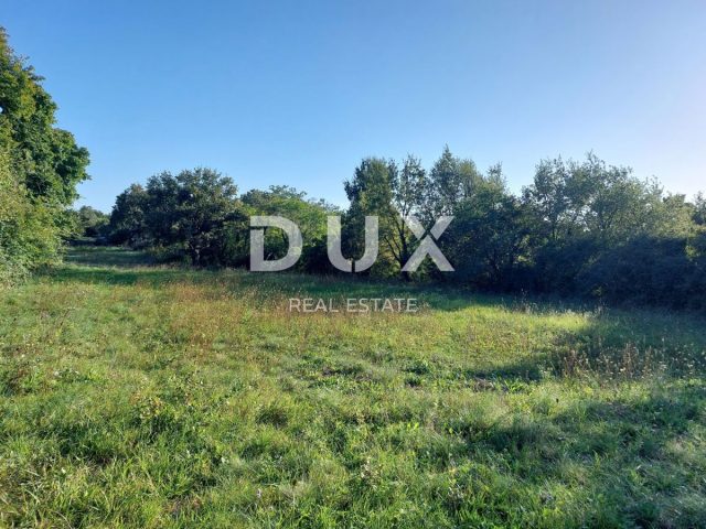 Terrain à vendre 6210 m² – Žminj
