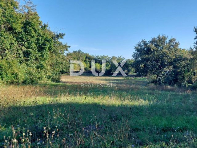Grundstück Zu verkaufen - Istarska žminj - foto 2/3