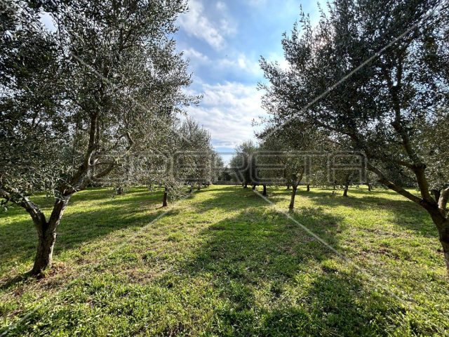 Land for sale 2039 m² – Medulin